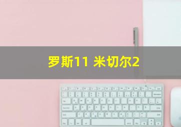 罗斯11 米切尔2